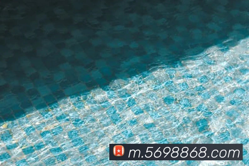 8868体育全站App